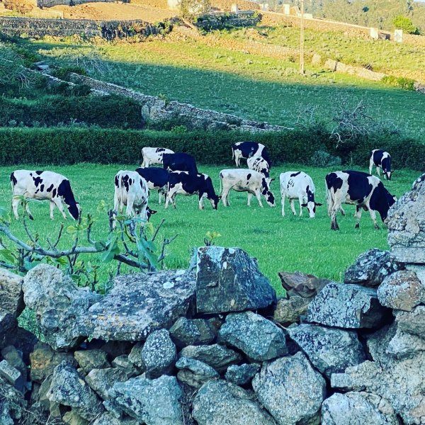 TASTDEMENORCA