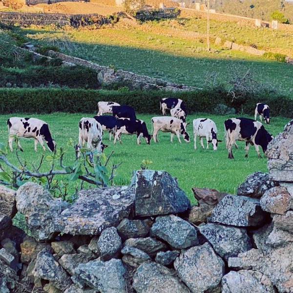 Tast de Menorca, Formatgeria, Fornells, Menorca